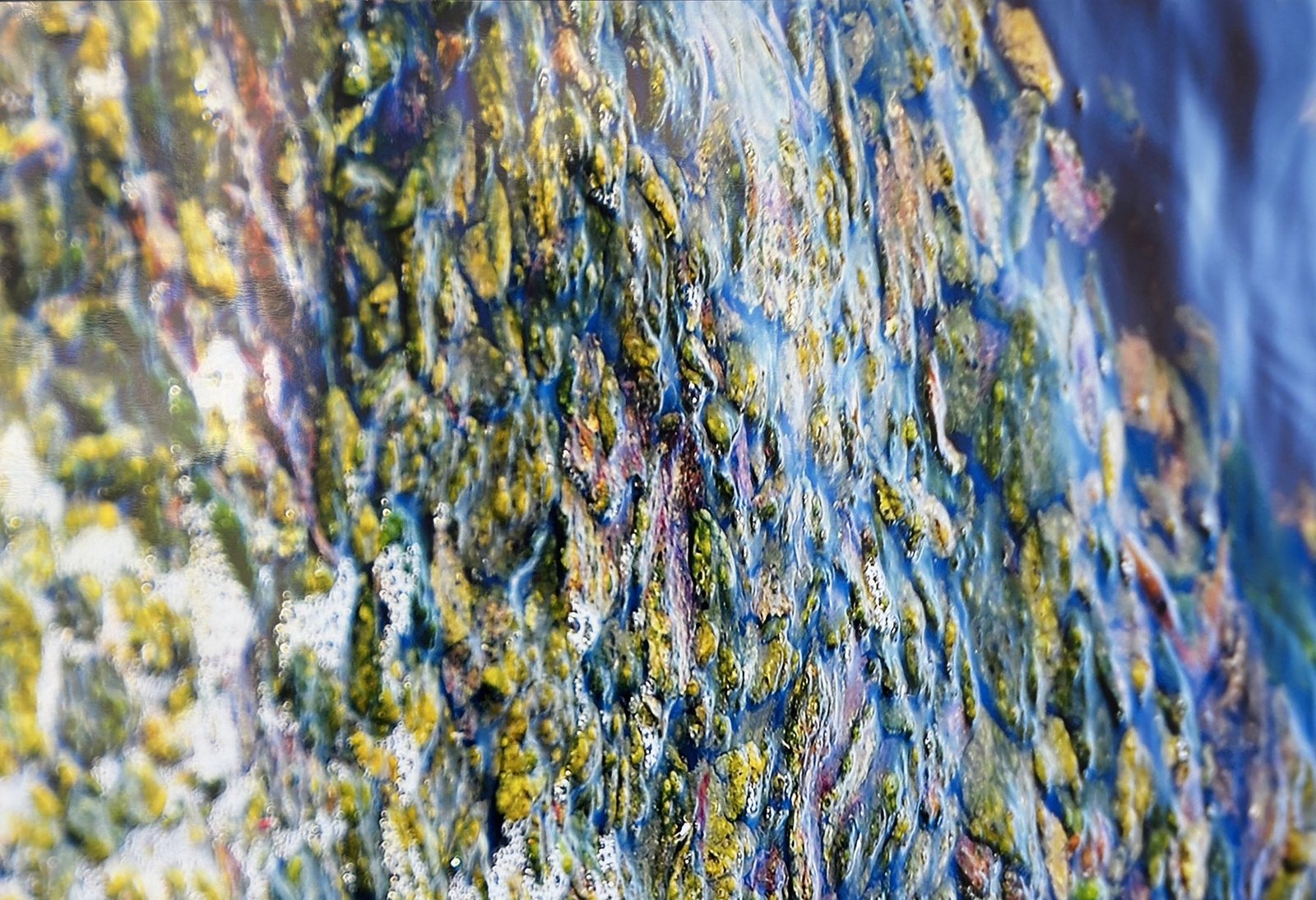Soleil brûlant, photographie de Claude Duboille