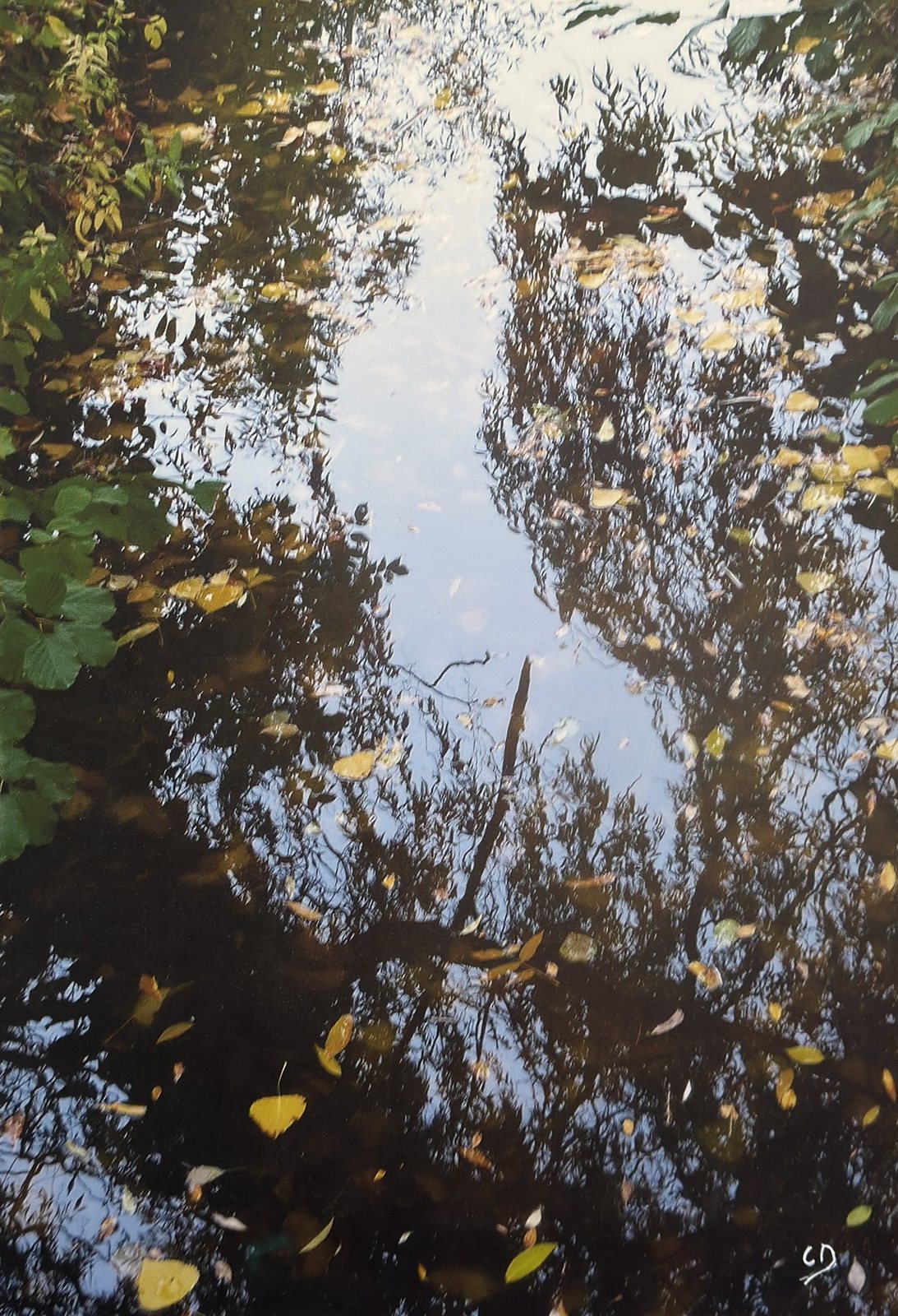 Soleil couchant, photographie de Claude Duboille