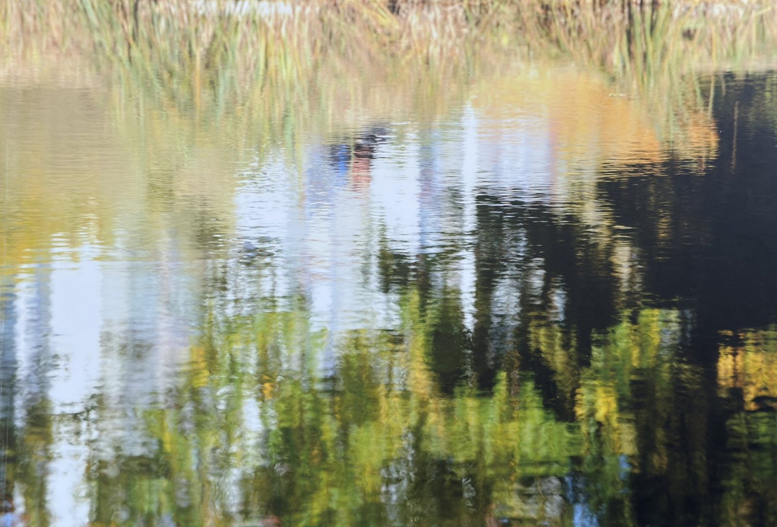 Abstraction 5, photographie de Claude Duboille