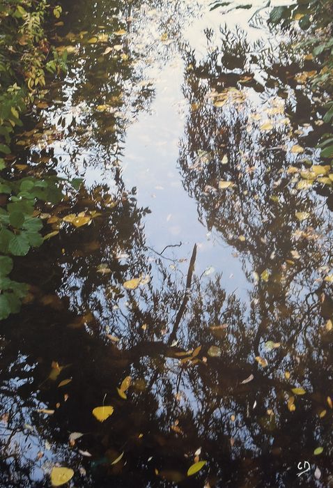 Soleil couchant, photographie de Claude Duboille