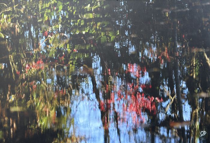 Abstraction 4, photographie de Claude Duboille