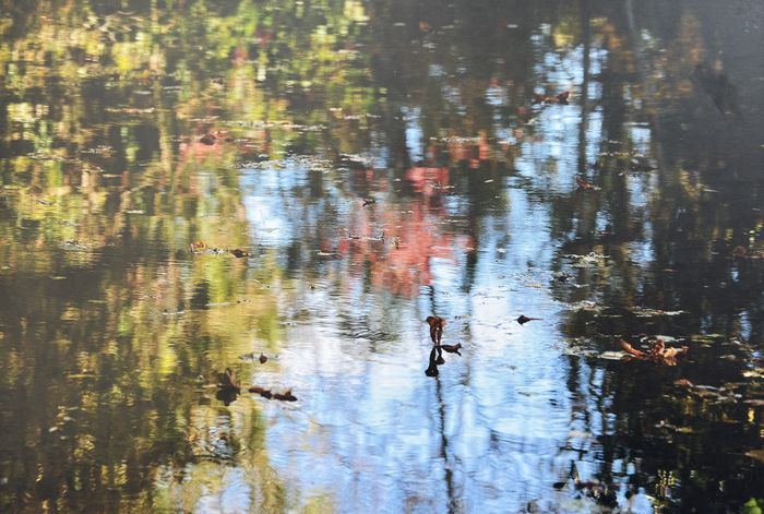 Abstraction 6, photographie de Claude Duboille