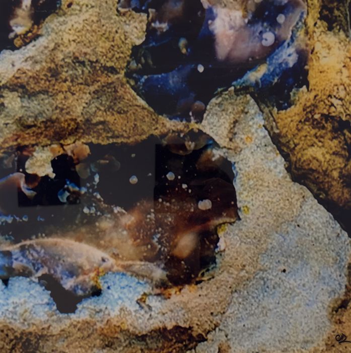 Connexion, photographie de Claude Duboille